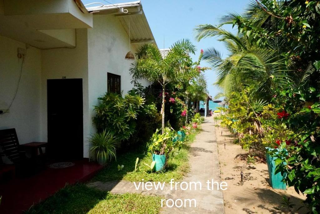 Feel the Waves Hotel Arugam Bay Buitenkant foto